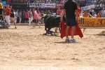 Encierro rápido y limpio el del sábado en Les Penyes en Festes