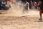 Encierro rápido y limpio el del sábado en Les Penyes en Festes