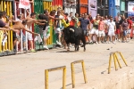 Encierro rápido y limpio el del sábado en Les Penyes en Festes