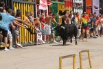 Encierro rápido y limpio el del sábado en Les Penyes en Festes