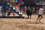 Encierro rápido y limpio el del sábado en Les Penyes en Festes