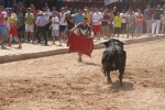Encierro rápido y limpio el del sábado en Les Penyes en Festes