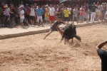 Encierro rápido y limpio el del sábado en Les Penyes en Festes