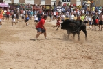 Encierro rápido y limpio el del sábado en Les Penyes en Festes