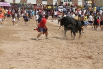 Encierro rápido y limpio el del sábado en Les Penyes en Festes