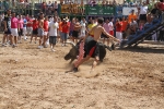 Encierro rápido y limpio el del sábado en Les Penyes en Festes