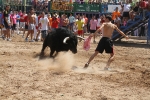 Encierro rápido y limpio el del sábado en Les Penyes en Festes