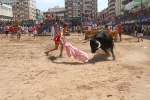 Encierro rápido y limpio el del sábado en Les Penyes en Festes