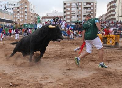 Fotografia /Galeria/2012/8/70203_37310/2_M1.jpg