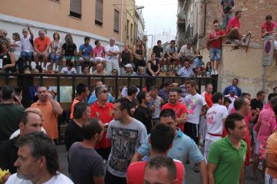 Fotografia /Galeria/2012/8/70203_37310/5_M1.jpg