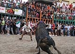 Las fiestas de la Misericrdia se salvan de la subida del IVA 'por los pelos'