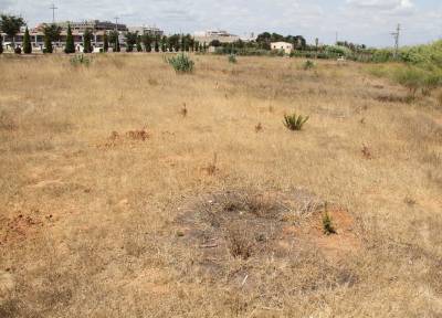 Fotografia /Galeria/2012/8/70664_37630/2_M1.jpg