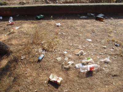 Fotografia /Galeria/2012/8/70952_37829/2_M1.jpg