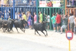 Las exhibición taurinas de la Misericòrdia arrancan con un alto nivel en los toros