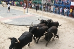 Las exhibición taurinas de la Misericòrdia arrancan con un alto nivel en los toros