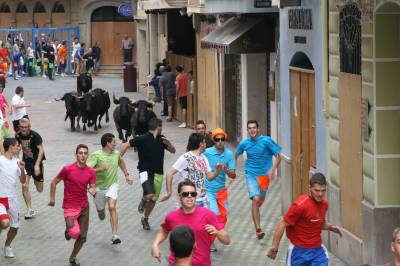 Fotografia /Galeria/2012/9/71259_38011/5_M1.jpg