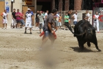 Un vecino de La Vall d\'Uixó, en estado crítico tras ser cogido por un toro en Burriana