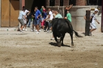 Un vecino de La Vall d\'Uixó, en estado crítico tras ser cogido por un toro en Burriana