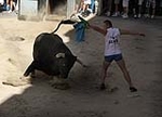 Un vecino de La Vall d\'Uixó, en estado crítico tras ser cogido por un toro en Burriana