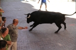 Un vecino de La Vall d\'Uixó, en estado crítico tras ser cogido por un toro en Burriana