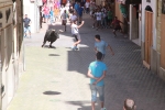 Un vecino de La Vall d\'Uixó, en estado crítico tras ser cogido por un toro en Burriana