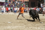 Un vecino de La Vall d\'Uixó, en estado crítico tras ser cogido por un toro en Burriana