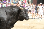 Un vecino de La Vall d\'Uixó, en estado crítico tras ser cogido por un toro en Burriana