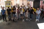 Los vehículos antiguos, el \'gos rater valencià\' y la ´mascletà\' completaron el programa festivo del domingo