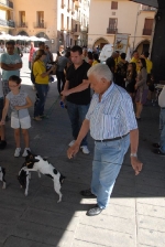 Los vehículos antiguos, el \'gos rater valencià\' y la ´mascletà\' completaron el programa festivo del domingo