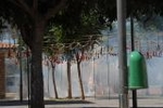 Los vehículos antiguos, el \'gos rater valencià\' y la ´mascletà\' completaron el programa festivo del domingo