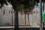Los vehículos antiguos, el \'gos rater valencià\' y la ´mascletà\' completaron el programa festivo del domingo