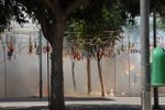 Los vehículos antiguos, el \'gos rater valencià\' y la ´mascletà\' completaron el programa festivo del domingo