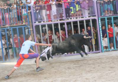Burriana contina con la exhibicin de toros en las fiestas