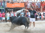 Burriana continúa con la exhibición de toros en las fiestas.