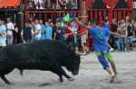 Burriana continúa con la exhibición de toros en las fiestas.