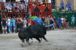 Burriana continúa con la exhibición de toros en las fiestas.