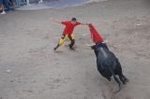 Los toros llenan el recinto taurino en Vila-real