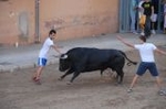 Los toros llenan el recinto taurino en Vila-real