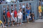 Los toros llenan el recinto taurino en Vila-real