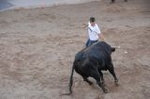 Los toros llenan el recinto taurino en Vila-real