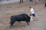 Los toros llenan el recinto taurino en Vila-real
