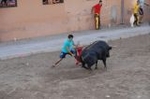 Los toros llenan el recinto taurino en Vila-real