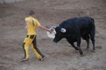 Los toros llenan el recinto taurino en Vila-real