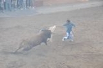 Los toros llenan el recinto taurino en Vila-real