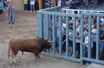 Los toros llenan el recinto taurino en Vila-real