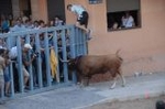 Los toros llenan el recinto taurino en Vila-real