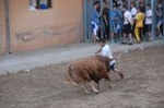 Los toros llenan el recinto taurino en Vila-real