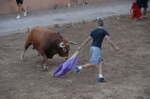 Los toros llenan el recinto taurino en Vila-real