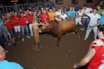 toro EMBOLADO