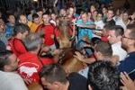 toro EMBOLADO